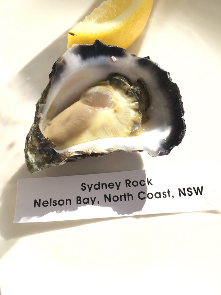 f:id:Toshibo:20171125213812j:image