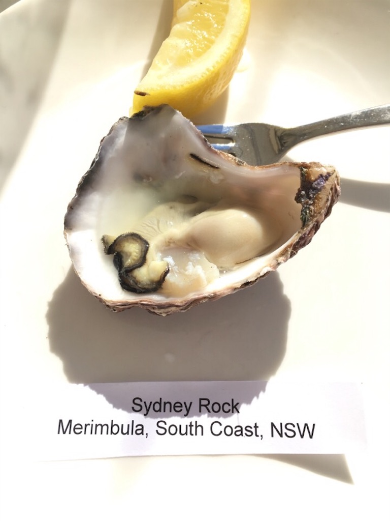 f:id:Toshibo:20171125213816j:image