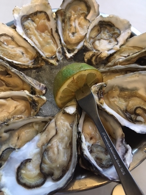 f:id:Toshibo:20180124224010j:plain