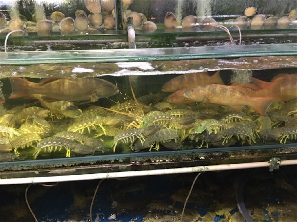 f:id:Toshibo:20180206172707j:image