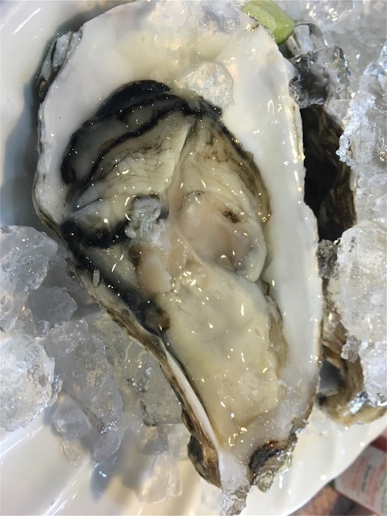 f:id:Toshibo:20180206172902j:image