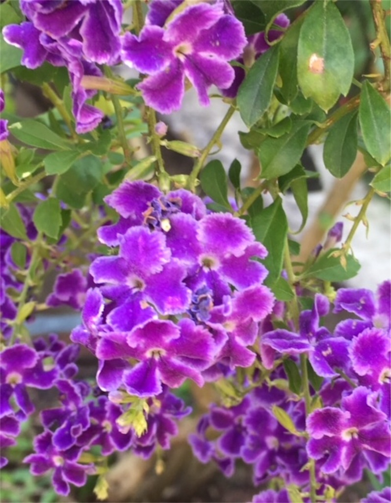 f:id:Toshibo:20180207221241j:image f:id:Toshibo:20180207221241j:image