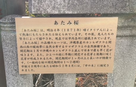 f:id:Toshibo:20180215162123j:plain