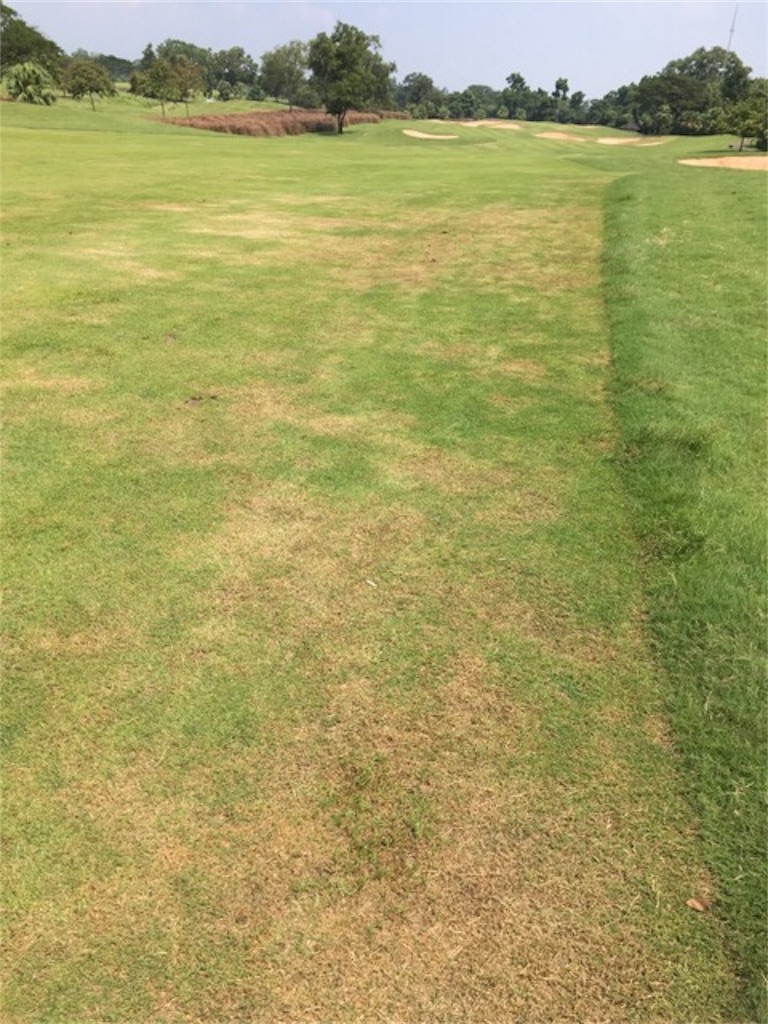 f:id:Toshibo:20180506230558j:image