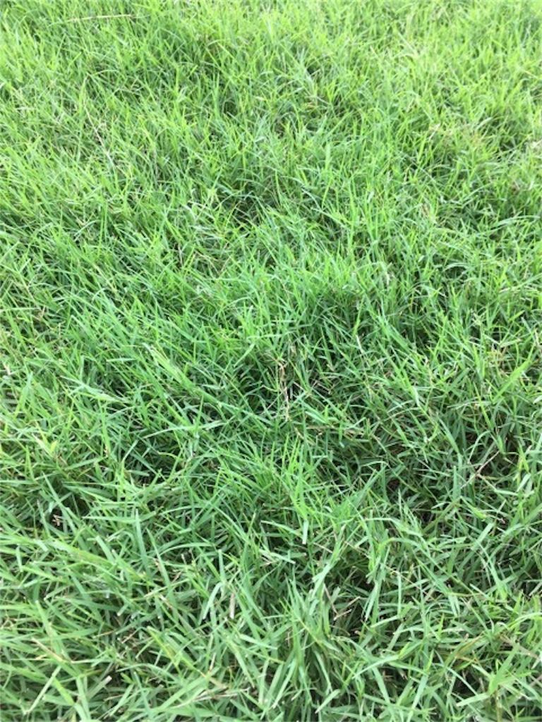 f:id:Toshibo:20180506231308j:image