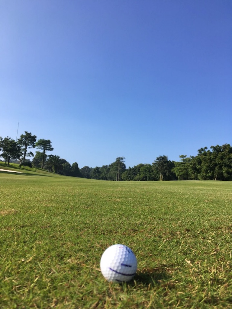 f:id:Toshibo:20180606145905j:image f:id:Toshibo:20180606145905j:image