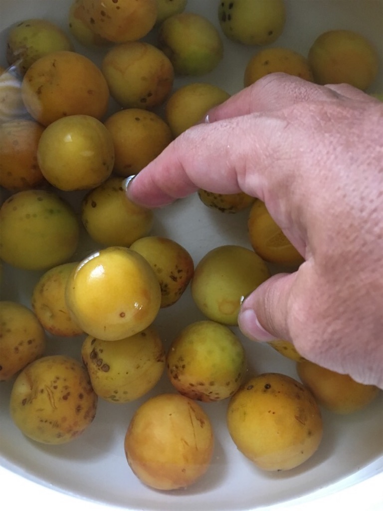 f:id:Toshibo:20180615163701j:image f:id:Toshibo:20180615163701j:image