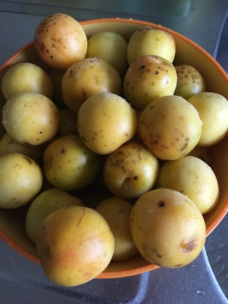 f:id:Toshibo:20180615163733j:image f:id:Toshibo:20180615163733j:image