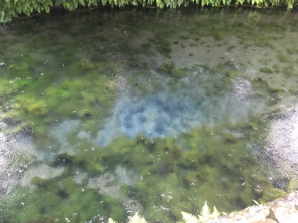 f:id:Toshibo:20180623141131j:image