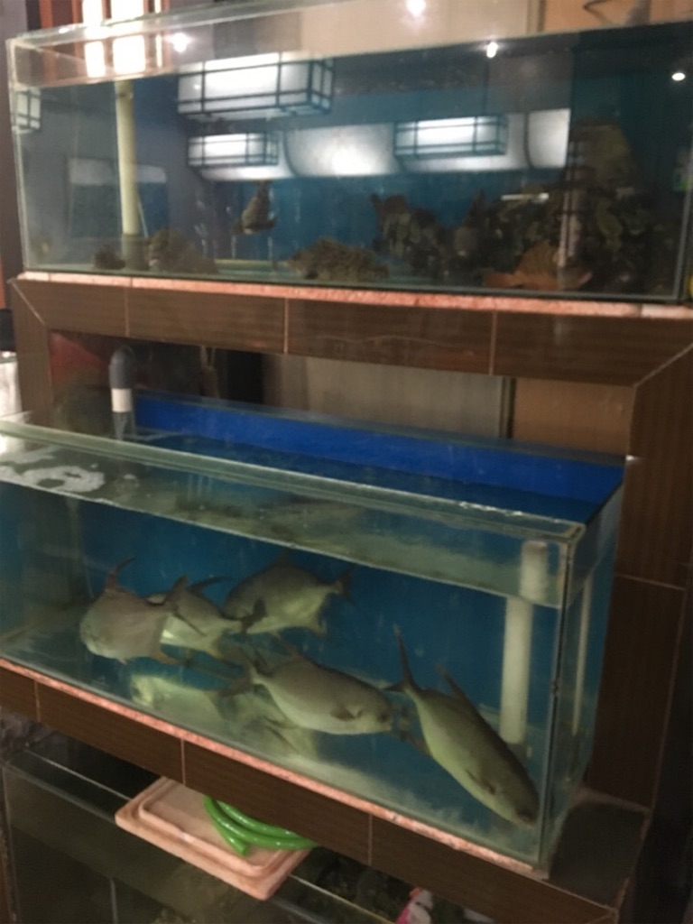 f:id:Toshibo:20180628185238j:image