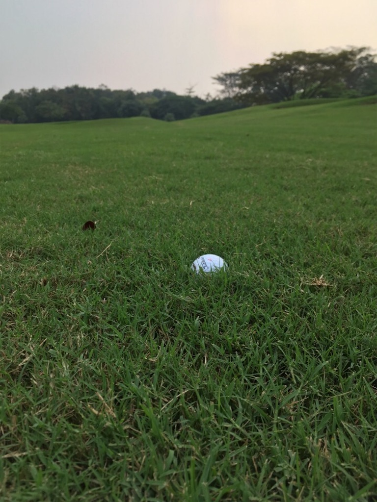 f:id:Toshibo:20180714211120j:image