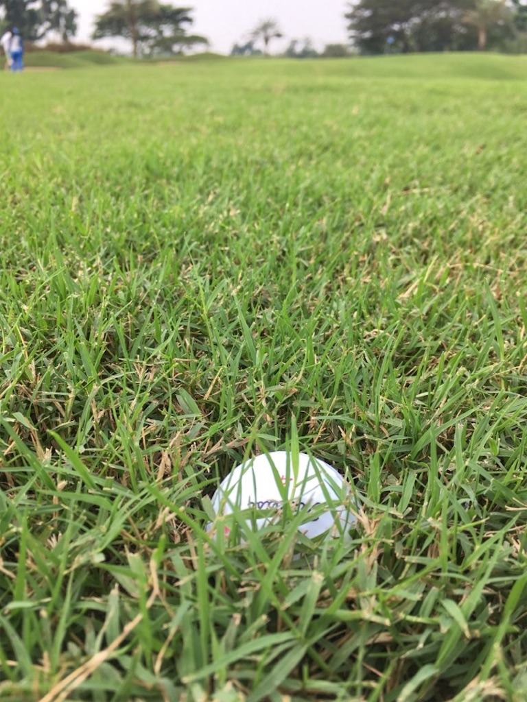 f:id:Toshibo:20180714211937j:image