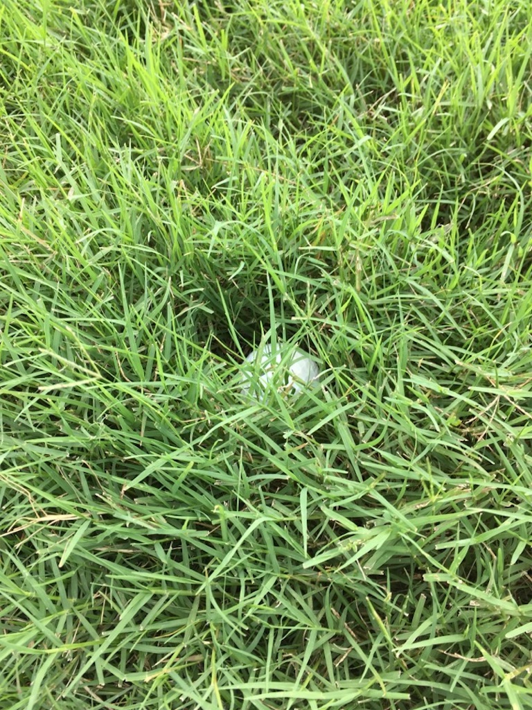 f:id:Toshibo:20180714212806j:image