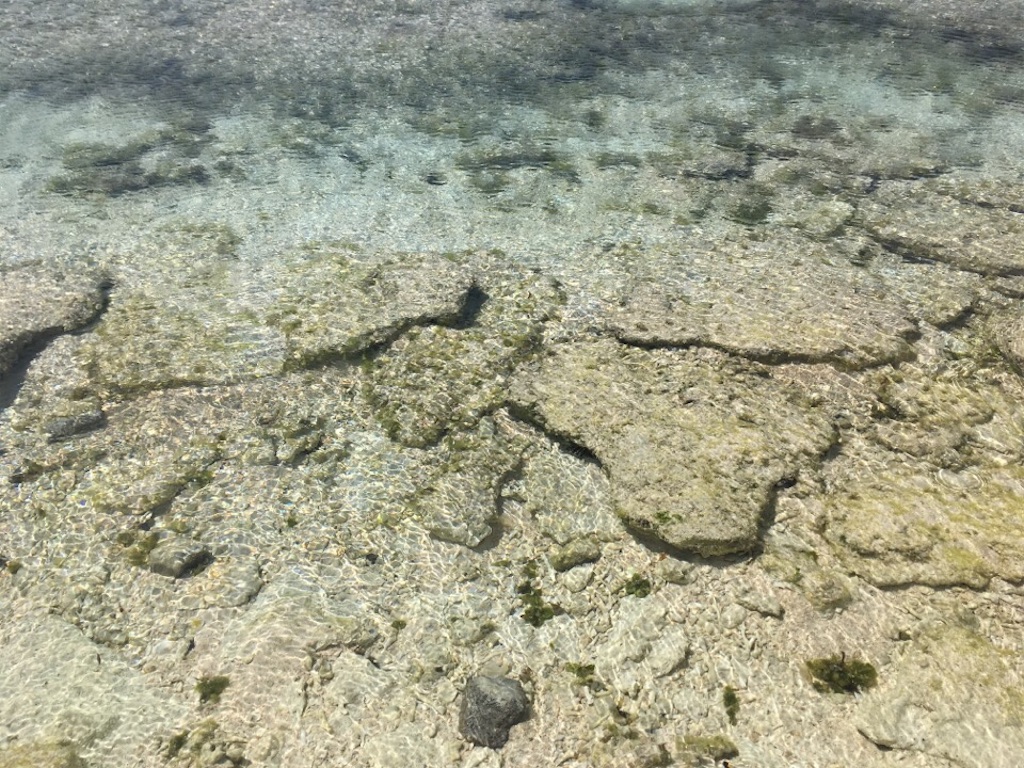 f:id:Toshibo:20180724081538j:image