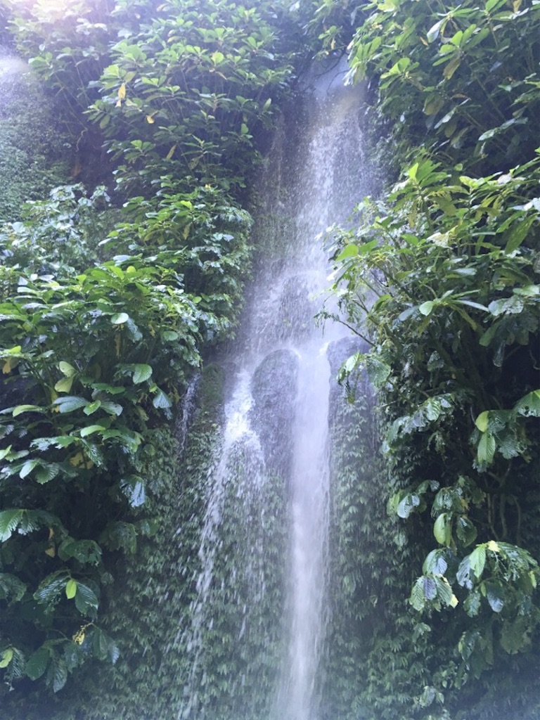 f:id:Toshibo:20180725155204j:image