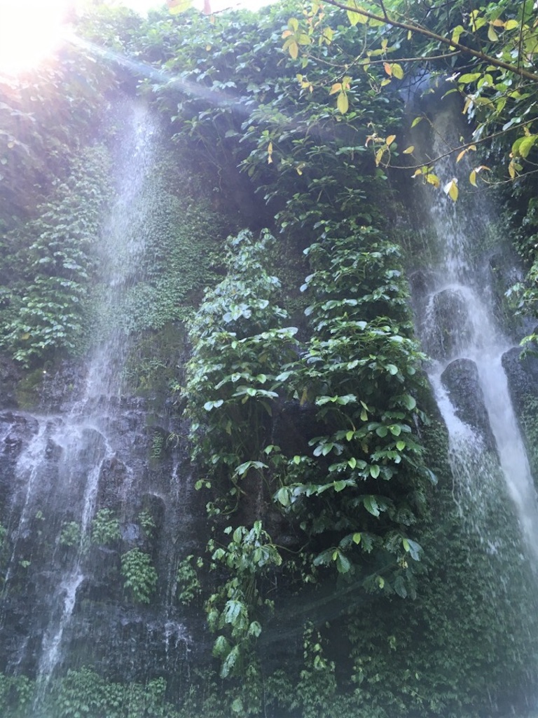 f:id:Toshibo:20180725155220j:image