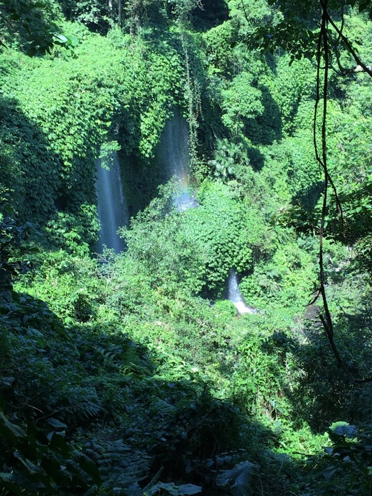 f:id:Toshibo:20180725155240j:image