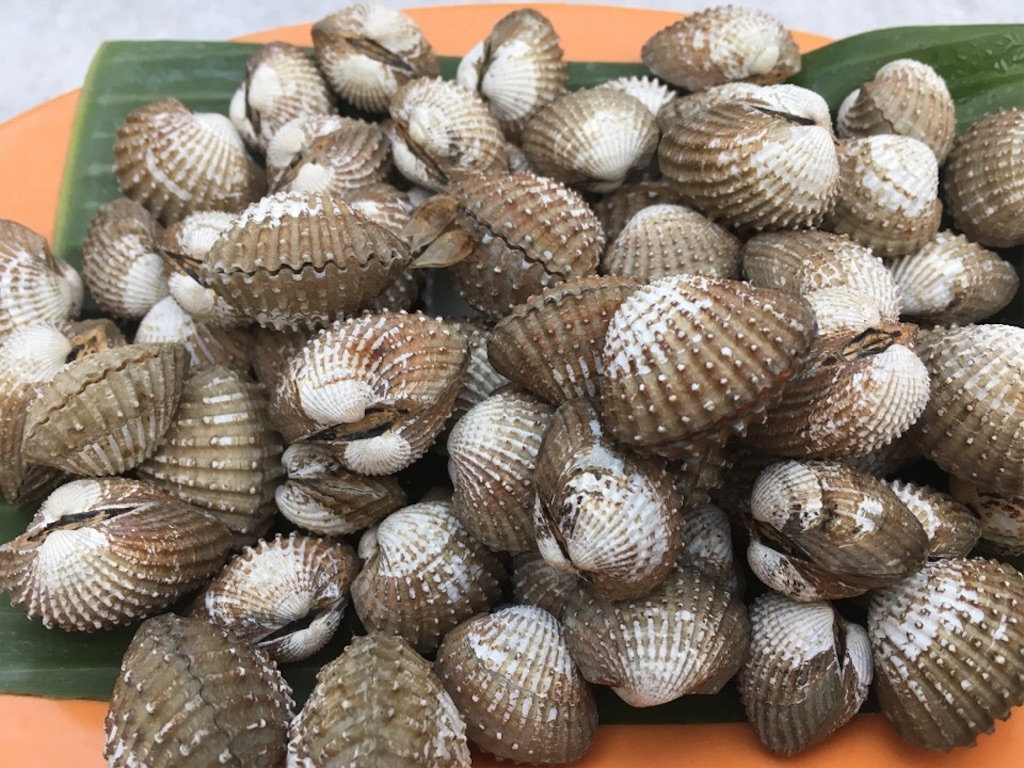 f:id:Toshibo:20180729171547j:image