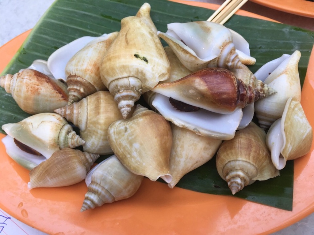 f:id:Toshibo:20180729171550j:image