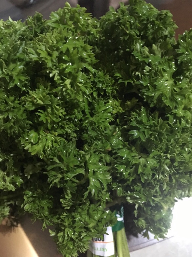 f:id:Toshibo:20180810124400j:image