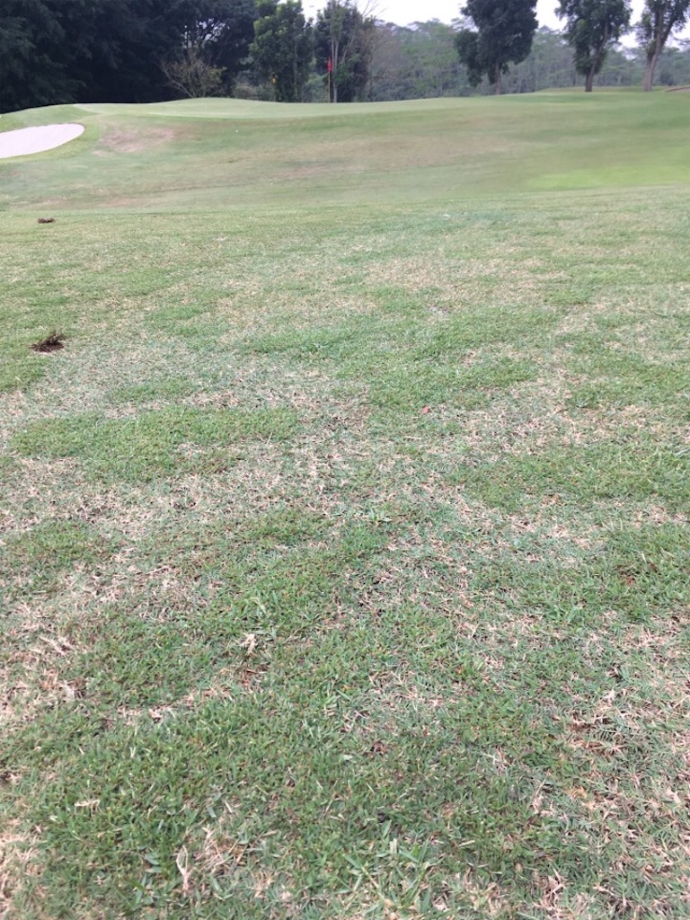 f:id:Toshibo:20180813172530j:image