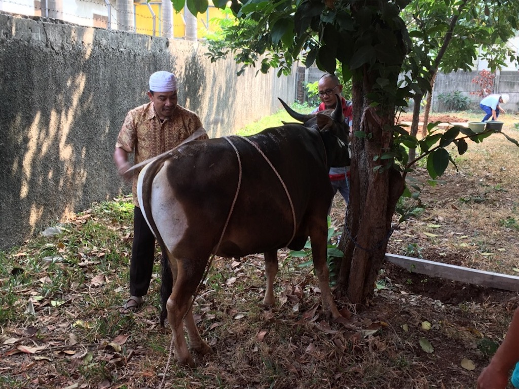 f:id:Toshibo:20180822143604j:image f:id:Toshibo:20180822143604j:image