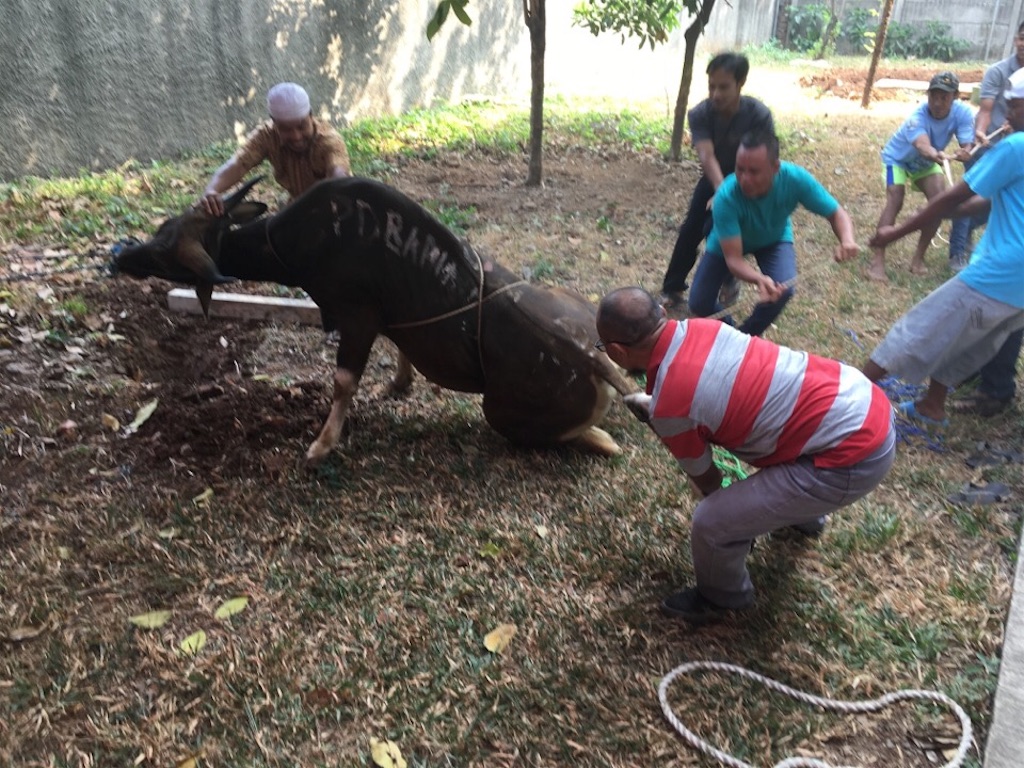 f:id:Toshibo:20180822143626j:image f:id:Toshibo:20180822143626j:image