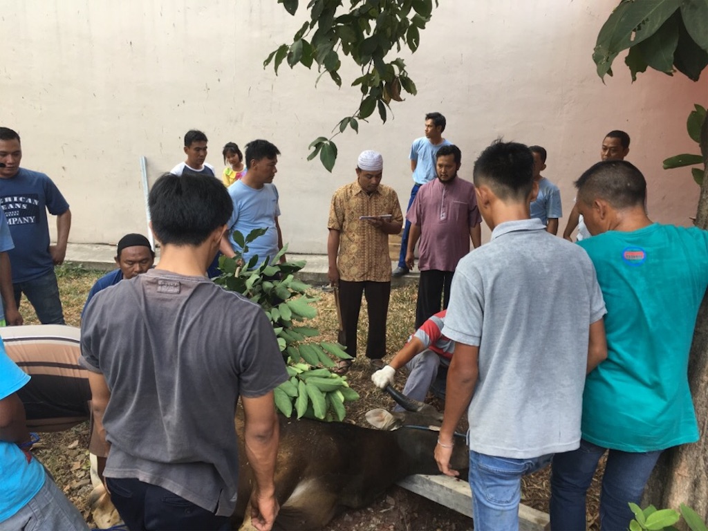 f:id:Toshibo:20180822143640j:image f:id:Toshibo:20180822143640j:image