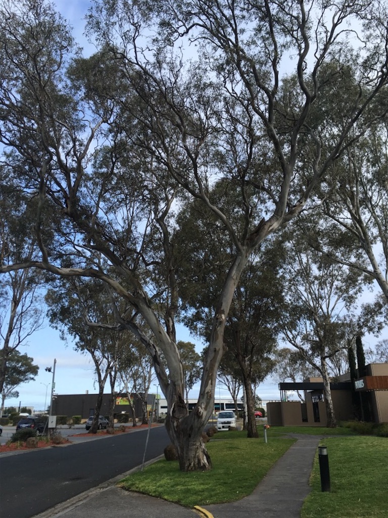 f:id:Toshibo:20180911063753j:image