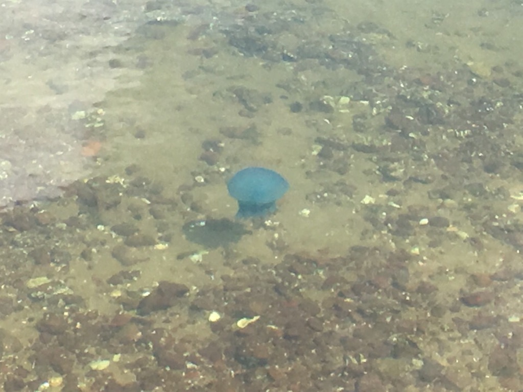 f:id:Toshibo:20180913044757j:image f:id:Toshibo:20180913044757j:image