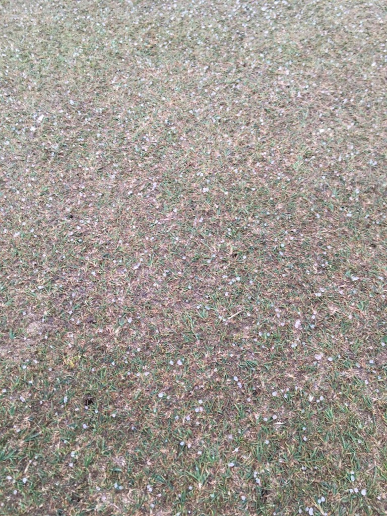 f:id:Toshibo:20180916072106j:image