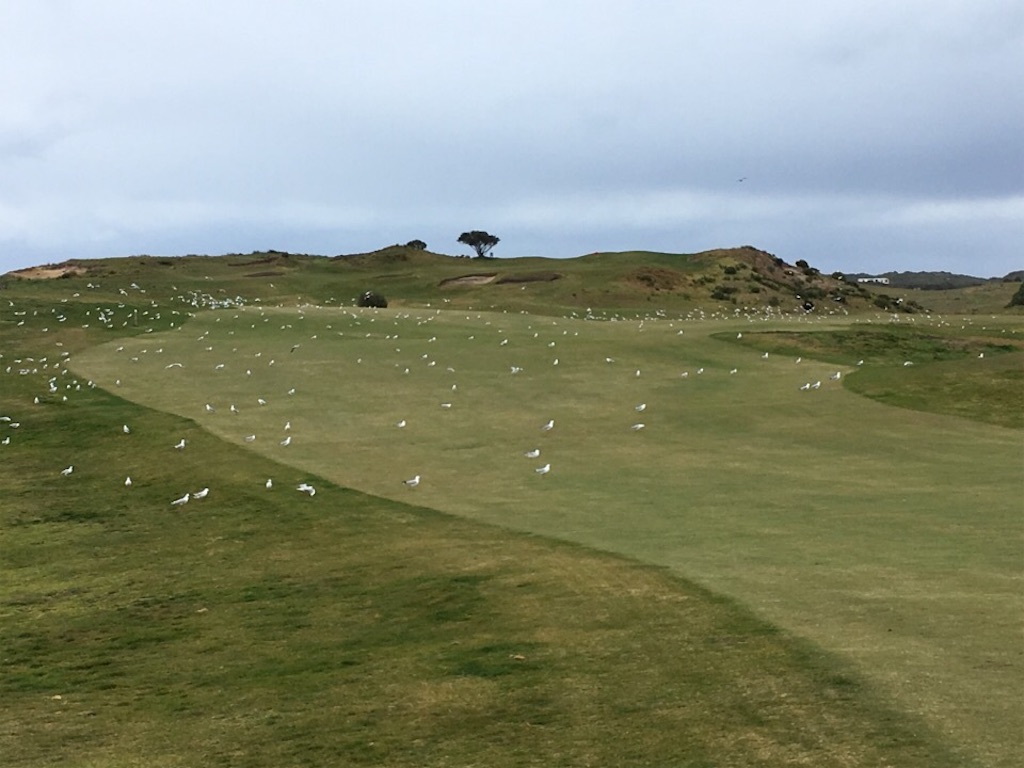 f:id:Toshibo:20180916072412j:image