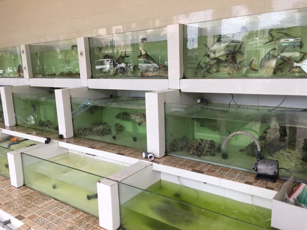 f:id:Toshibo:20180924213550j:image