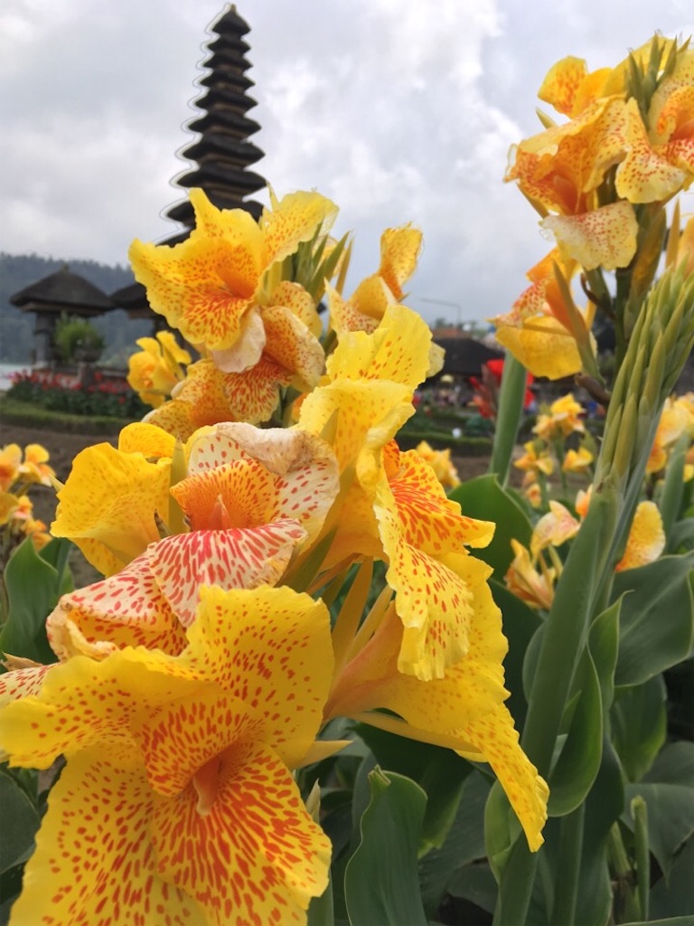 f:id:Toshibo:20181028064751j:image f:id:Toshibo:20181028064751j:image