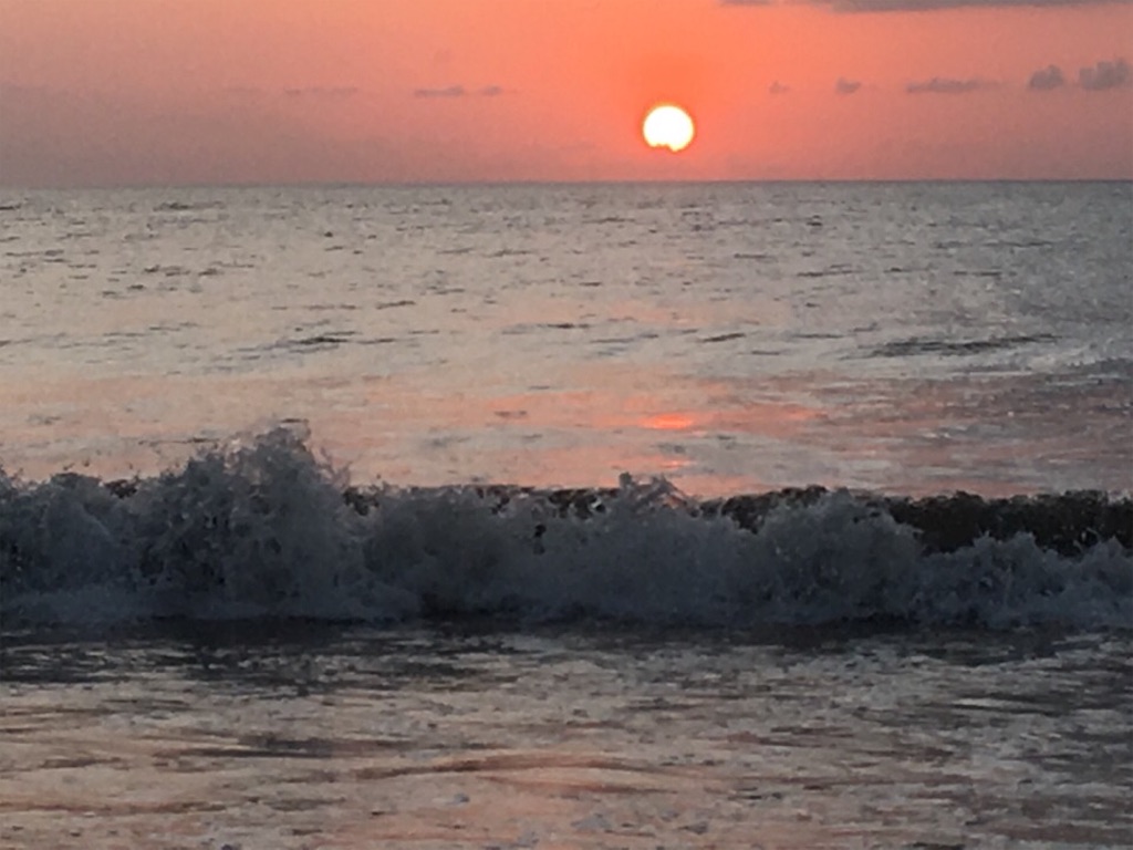 f:id:Toshibo:20181028071133j:image f:id:Toshibo:20181028071133j:image