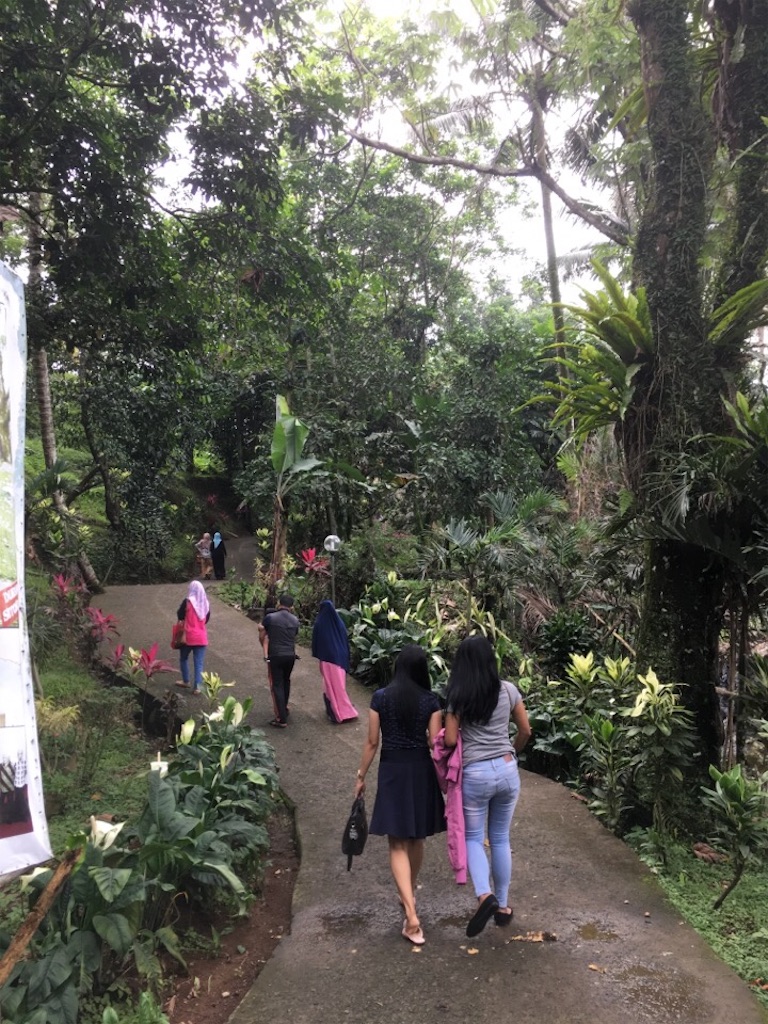 f:id:Toshibo:20181209224625j:image