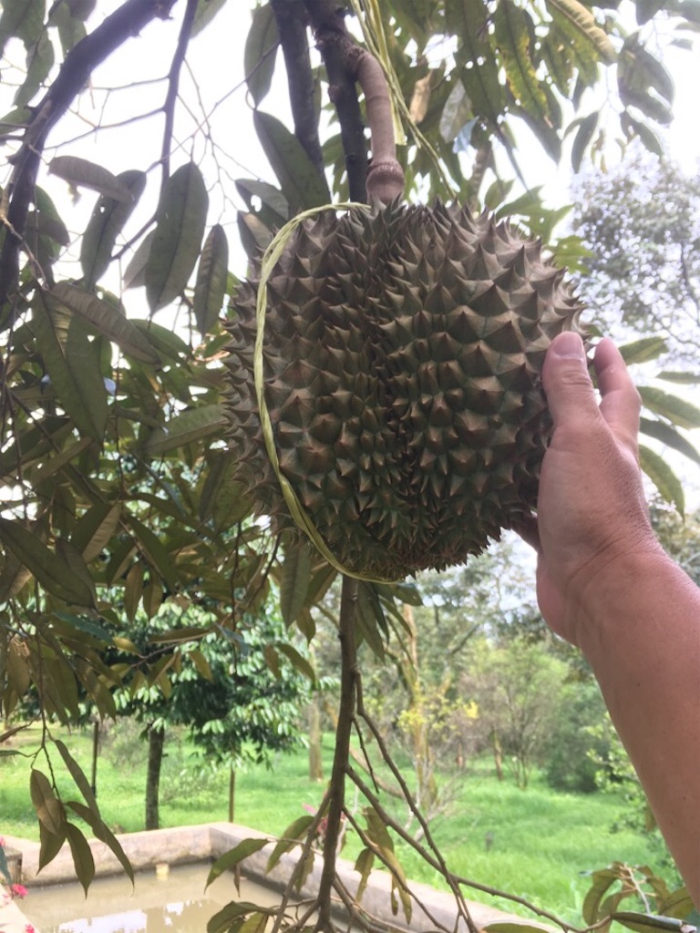 f:id:Toshibo:20181209224825j:image