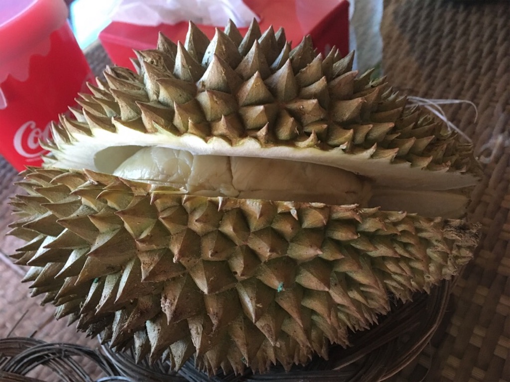 f:id:Toshibo:20181209230906j:image