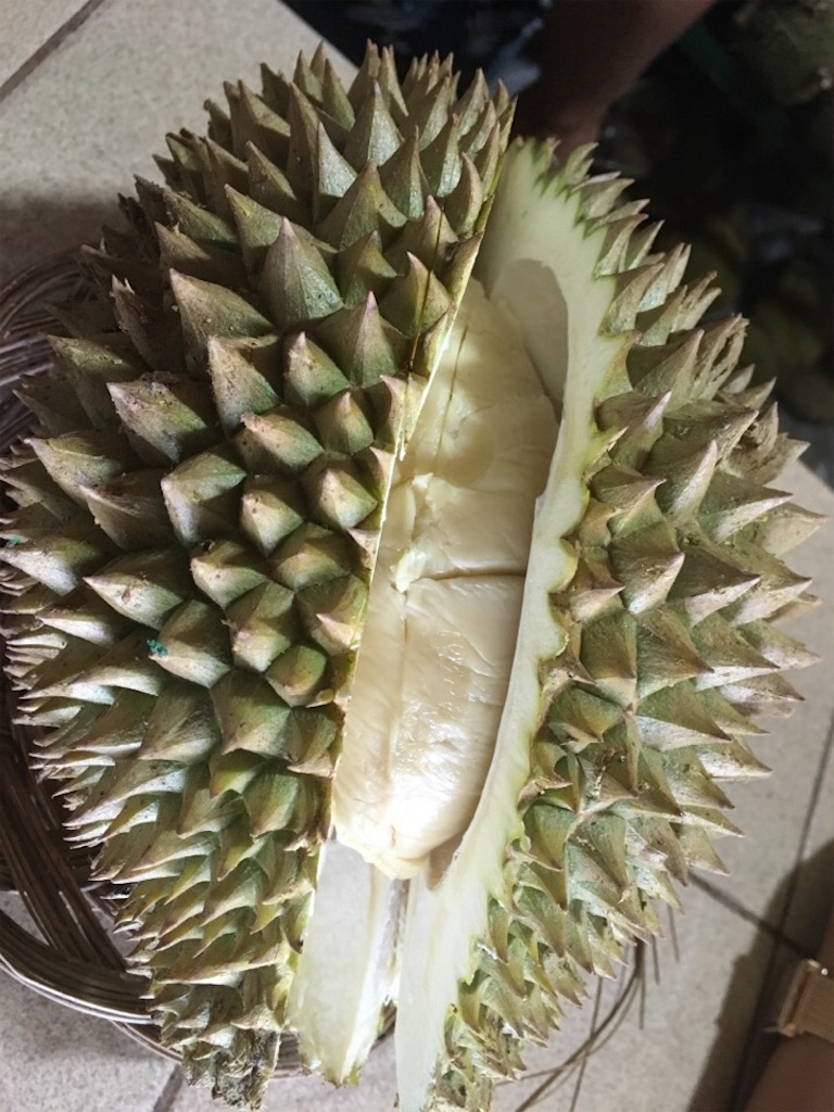 f:id:Toshibo:20181209230911j:image