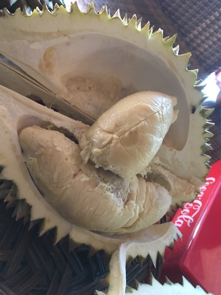 f:id:Toshibo:20181209231129j:image