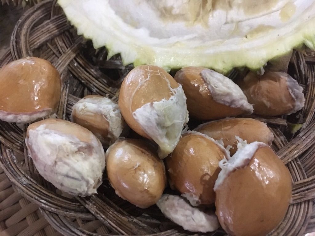 f:id:Toshibo:20181209231134j:image