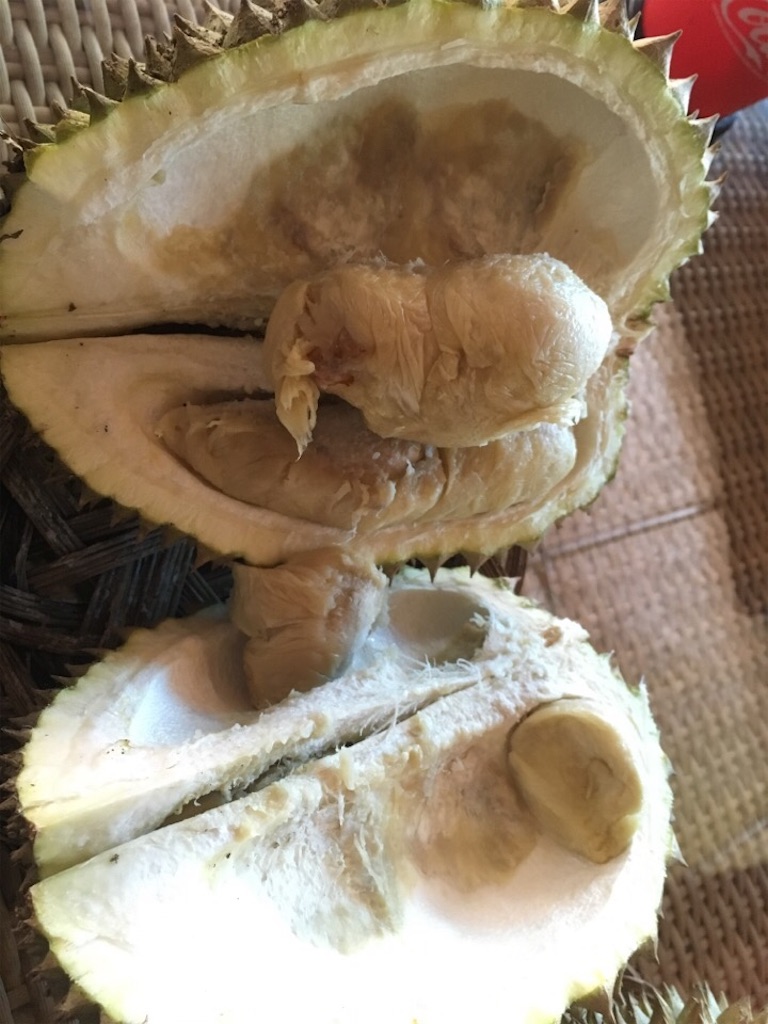 f:id:Toshibo:20181209231140j:image