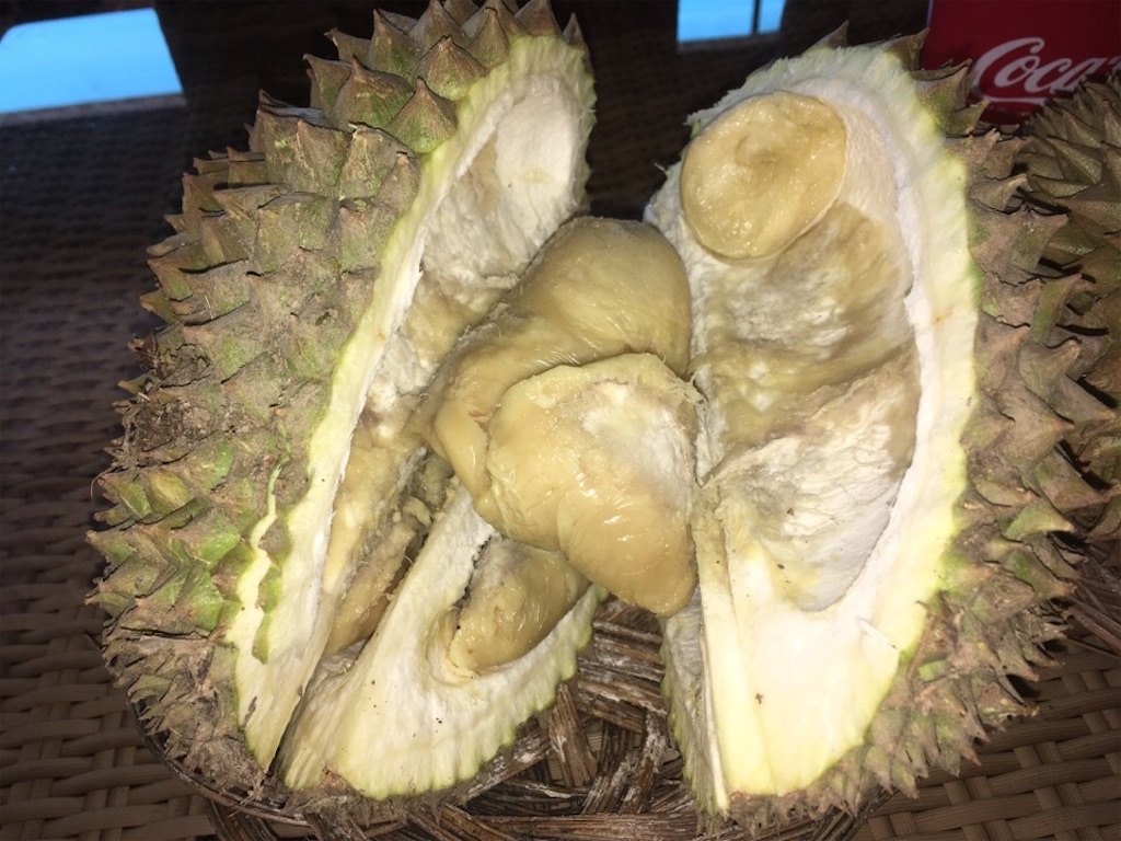 f:id:Toshibo:20181209231143j:image