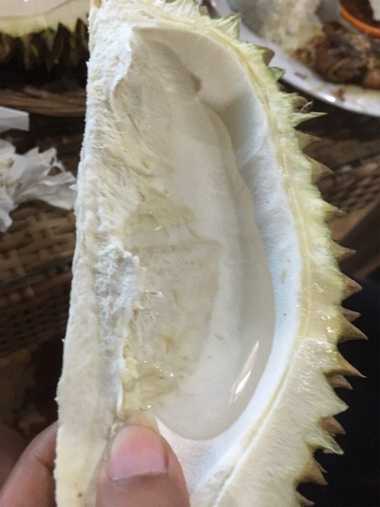 f:id:Toshibo:20181209232121j:image