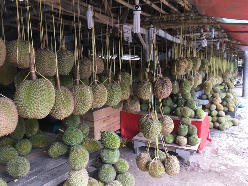 f:id:Toshibo:20181221172246j:image