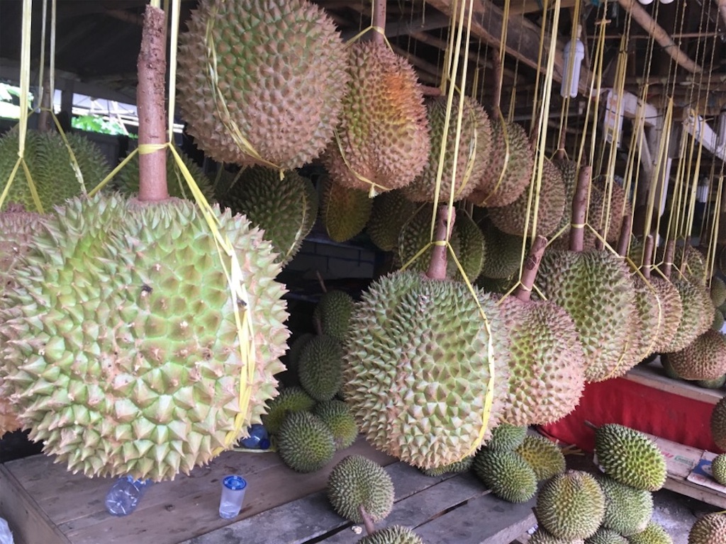 f:id:Toshibo:20181221172316j:image