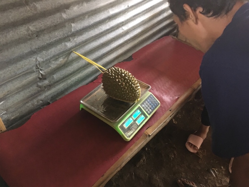 f:id:Toshibo:20181221172527j:image