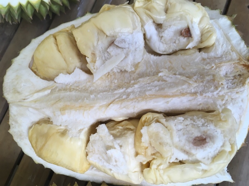 f:id:Toshibo:20181221172607j:image