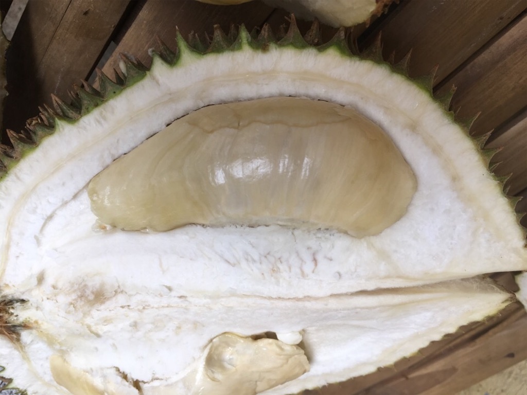 f:id:Toshibo:20181221172749j:image