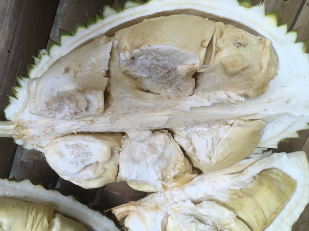 f:id:Toshibo:20181221172756j:image